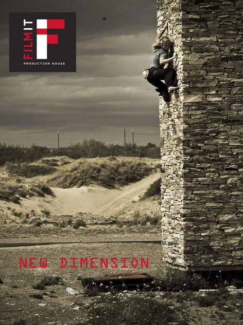 New Dimension (2011) poster