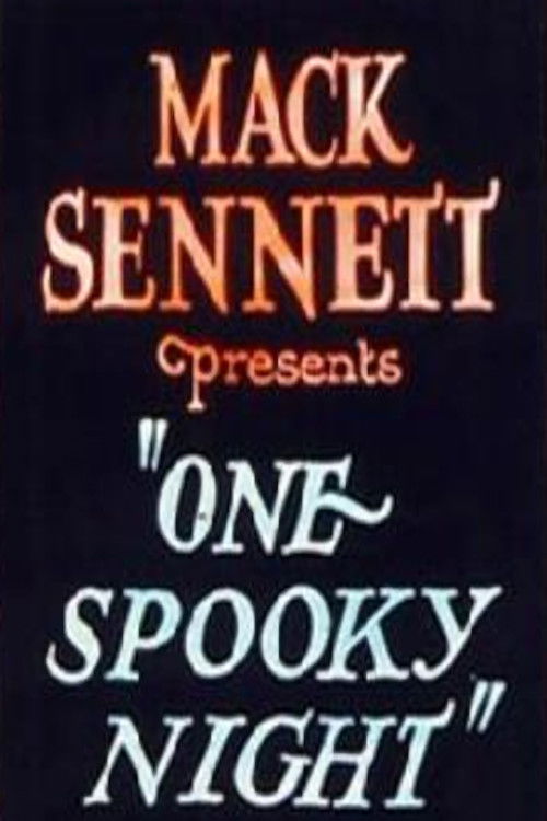 One Spooky Night (1924) poster