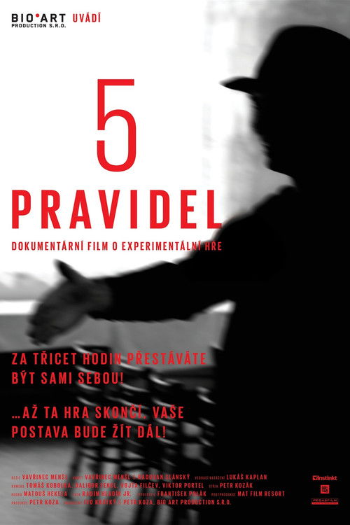5 pravidel (2013) poster