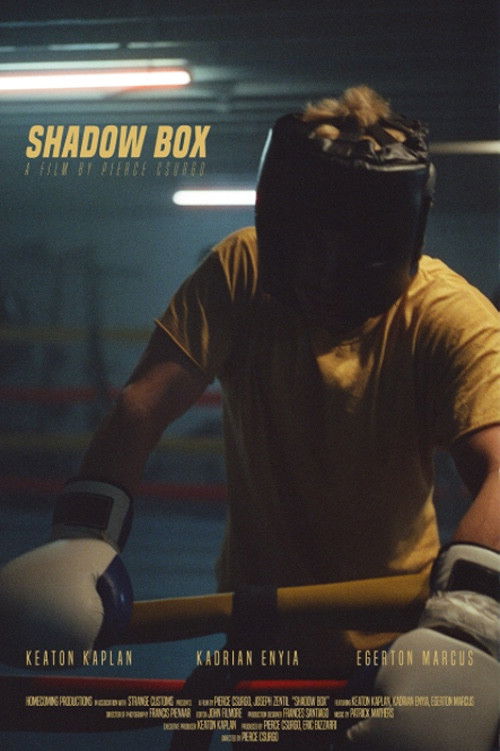 Shadow Box (2023) poster