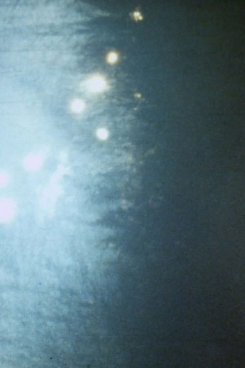 Brouillard #1 (2009) poster