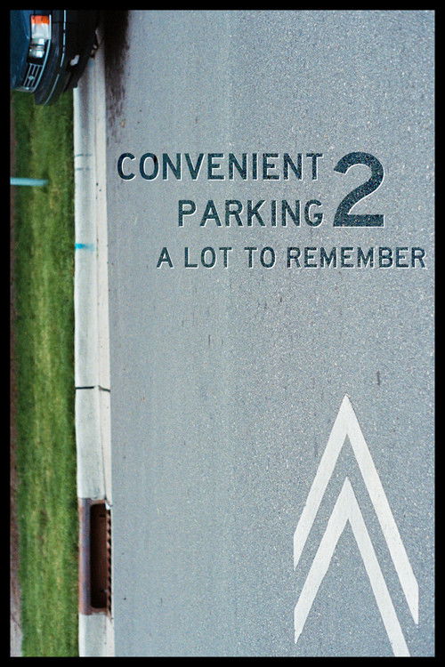 Convenient Parking 2: A Lot to Remember poster