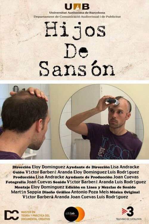Hijos de Sansón (2011) poster