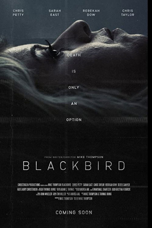 Blackbird (2020) poster
