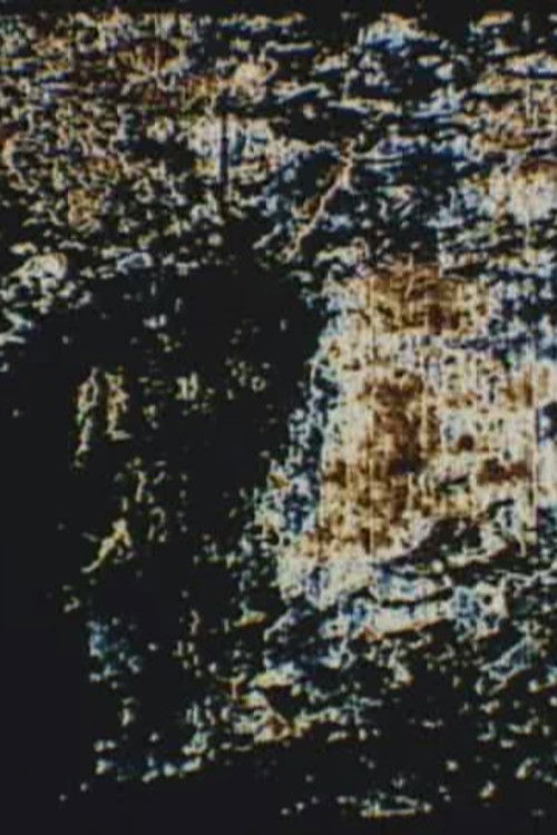 Two Pictures (1999) poster