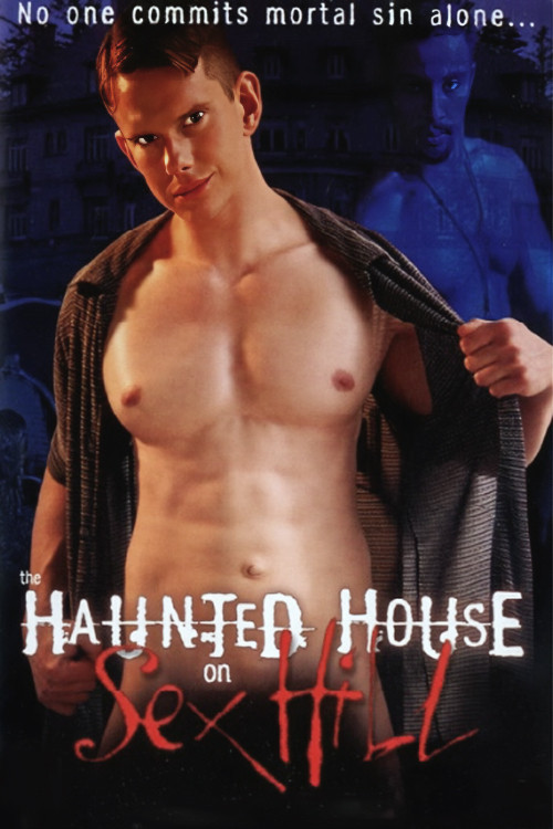 The Haunted House on Sex Hill (2003) poster