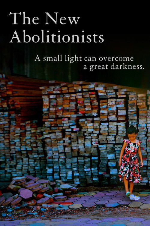The New Abolitionists (2020) poster