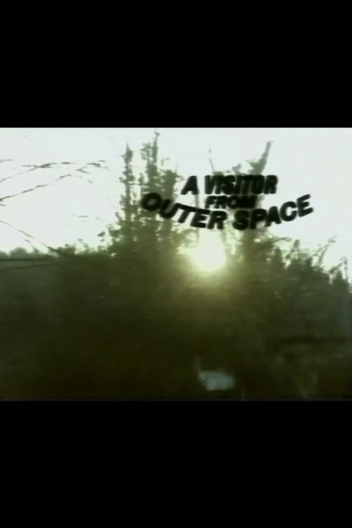 A Visitor from Outer Space (1983) poster