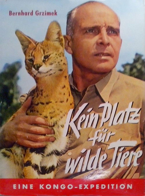 Kein Platz für wilde Tiere (1956) poster