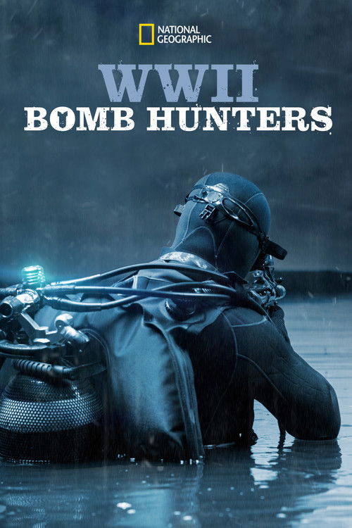 WWII Bomb Hunters (2018) poster