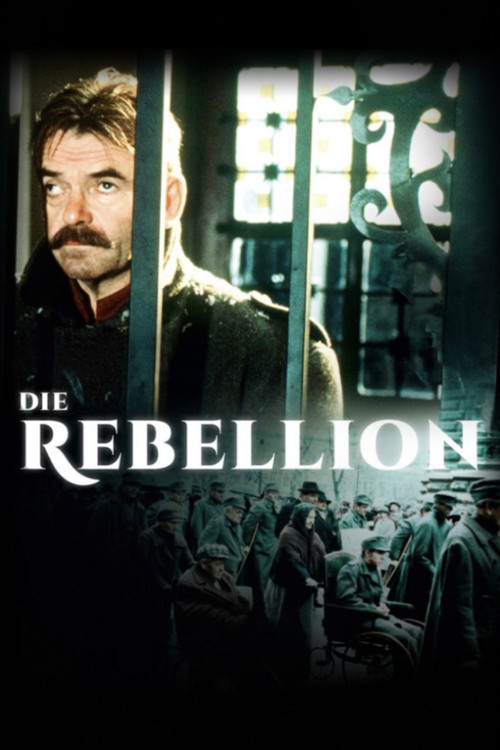 Die Rebellion (1993) poster