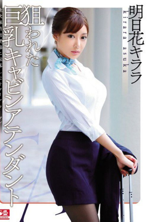 狙われた巨乳キャビンアテンダント 性欲解消肉便器に転落したキャリアウーマン (2015) poster