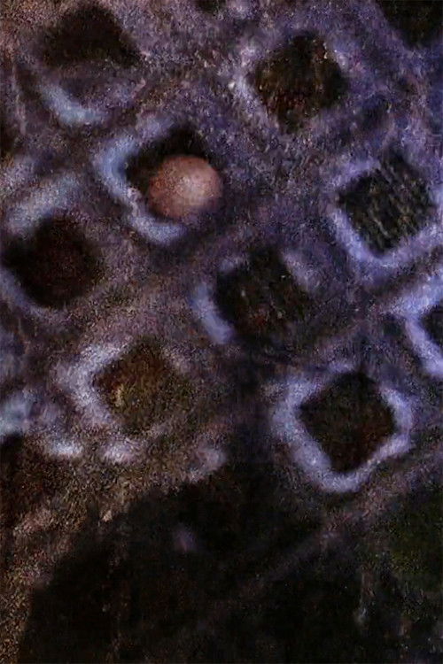 Hotel Bardo (2018) poster