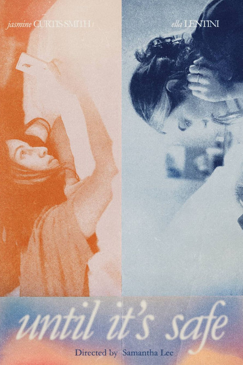 Until It's Safe (2020) poster