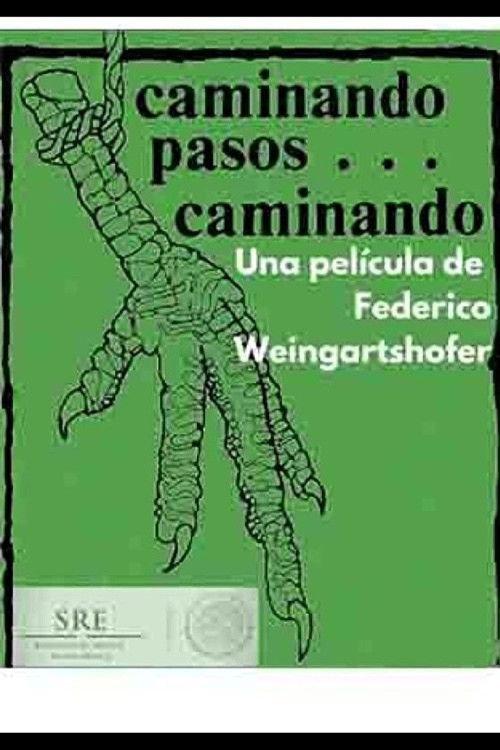 Caminando pasos... caminando (1977) poster