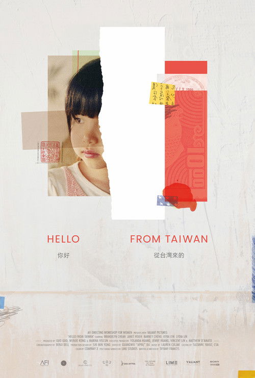 Hello From Taiwan (2020) poster