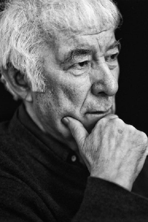 Seamus Heaney and the Music of What Happens (2019) poster