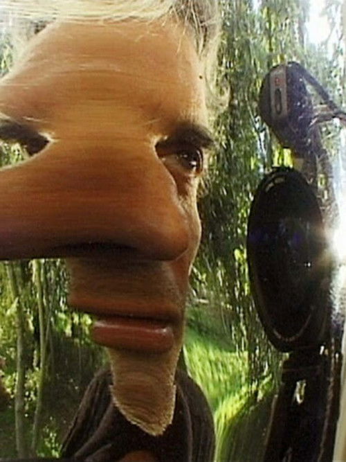 About Special Effects (2001) poster