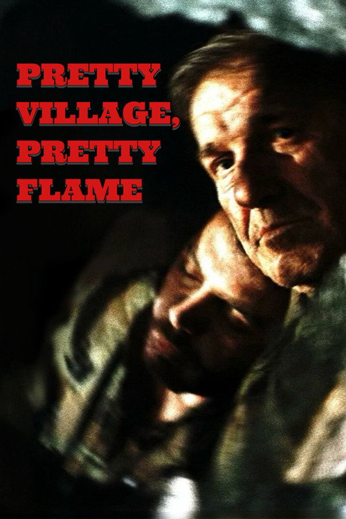 Pretty Village, Pretty Flame (1996) poster