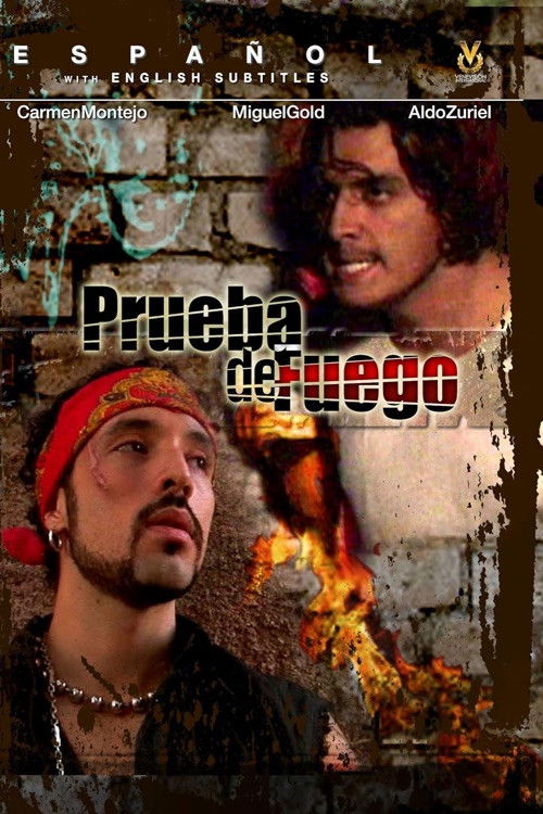 Las Ladrilleras (2006) poster