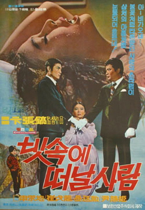 Leaving in the rain (1971) poster