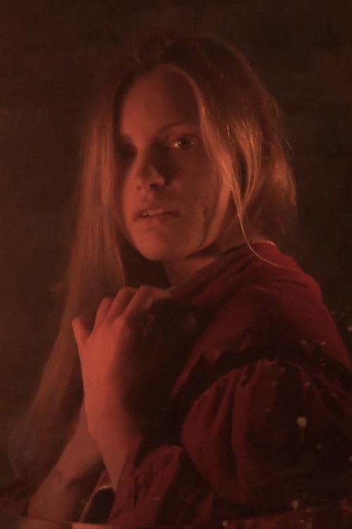 Pagalvės mokesčio rinkėjas (2015) poster