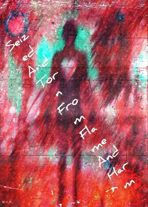 Seized And Torn From Flame And Harm (2024) poster
