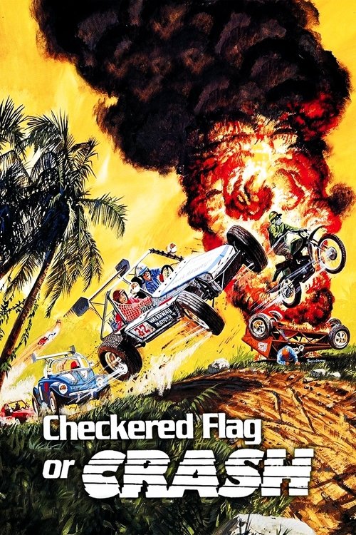 Checkered Flag or Crash (1977) poster