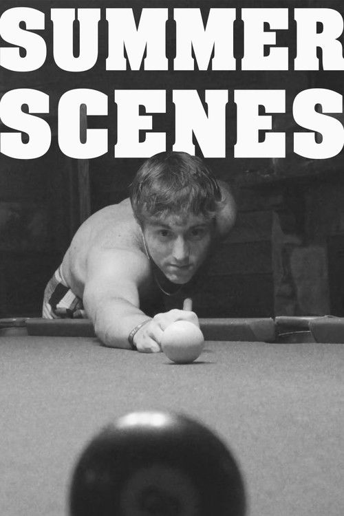 Summer Scenes poster