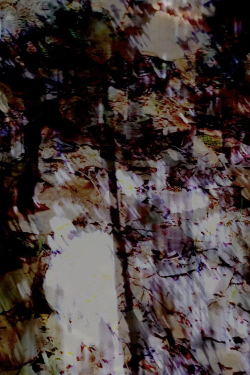 gossamer I (2023) poster