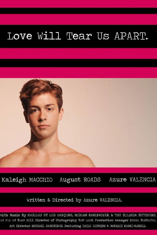 Love Will Tear Us Apart (2013) poster