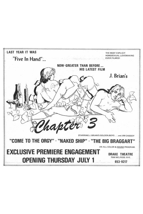 Chapter 3 (1971) poster