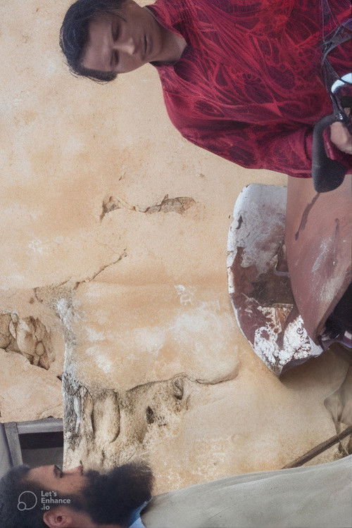 Chak wak (2010) poster