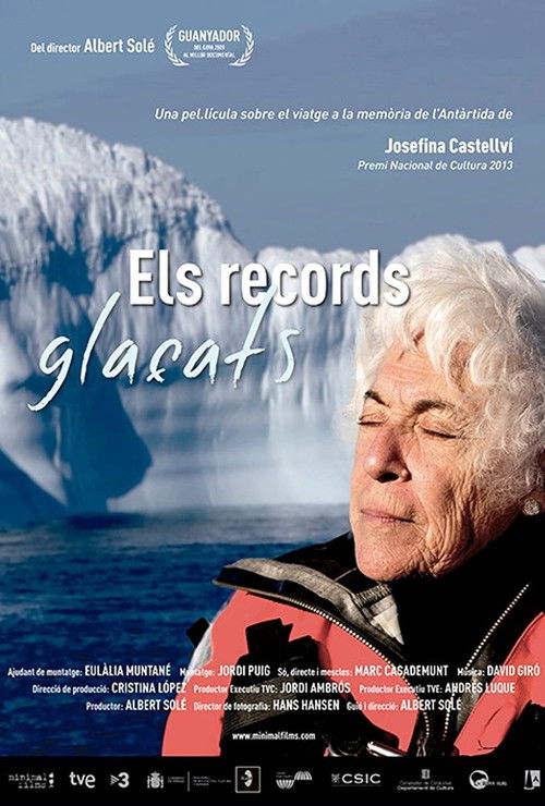Els records glaçats (2013) poster