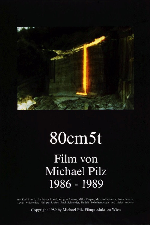 80cm 5t (1989) poster