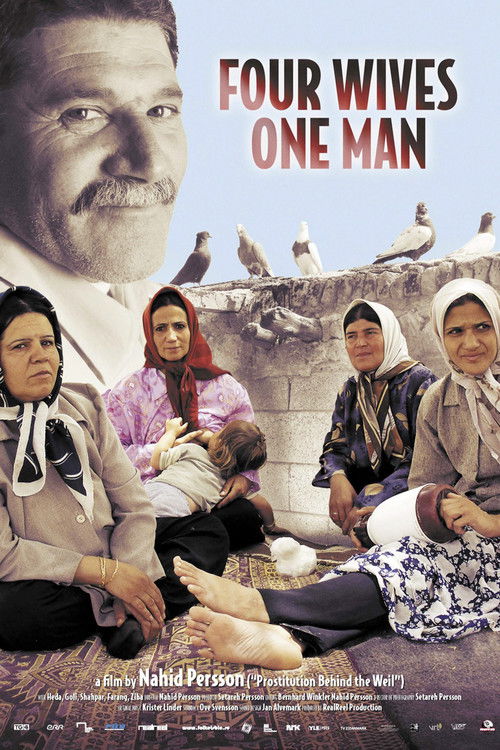 Four Wives - One Man (2007) poster
