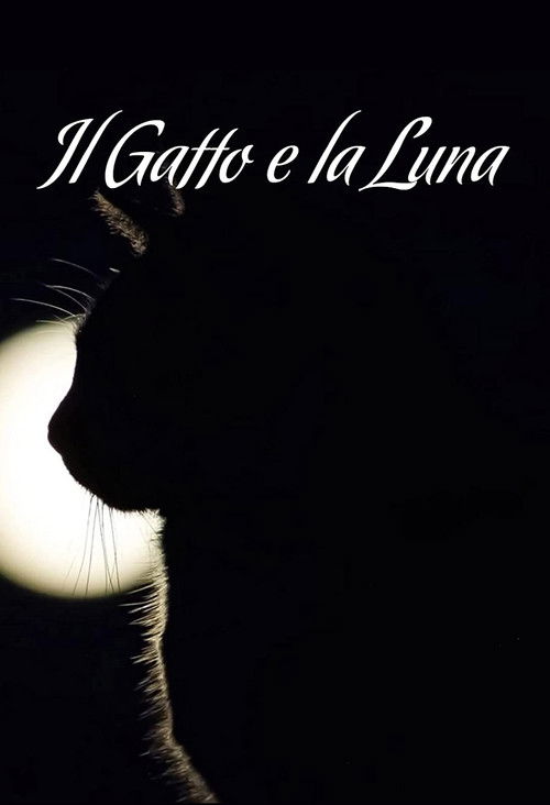 The Cat & the Moon (2019) poster