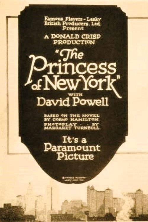 The Princess of New York (1921) poster