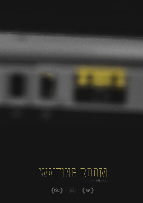 Waiting Room (2023) poster