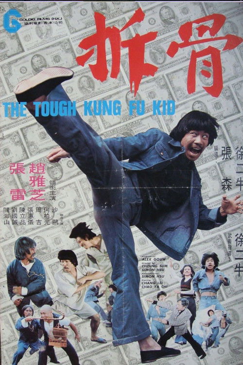 The Tough Kung Fu Kid (1978) poster