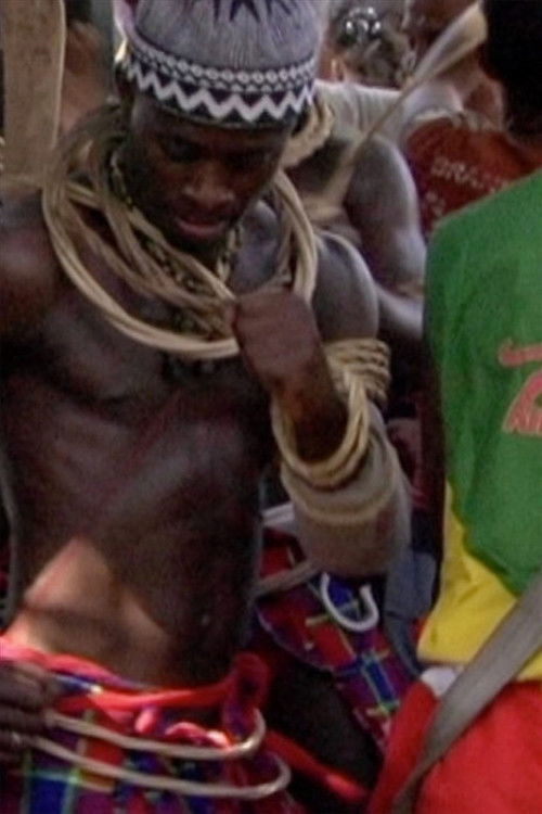 I Am Too Sexy for My Body, for My Bo-ody (2012) poster