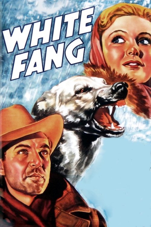 White Fang (1936) poster