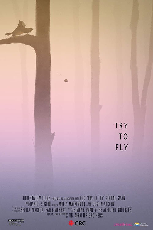 Try to Fly (2020) poster