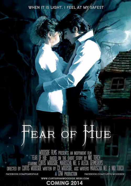 Fear of Hue (2013) poster