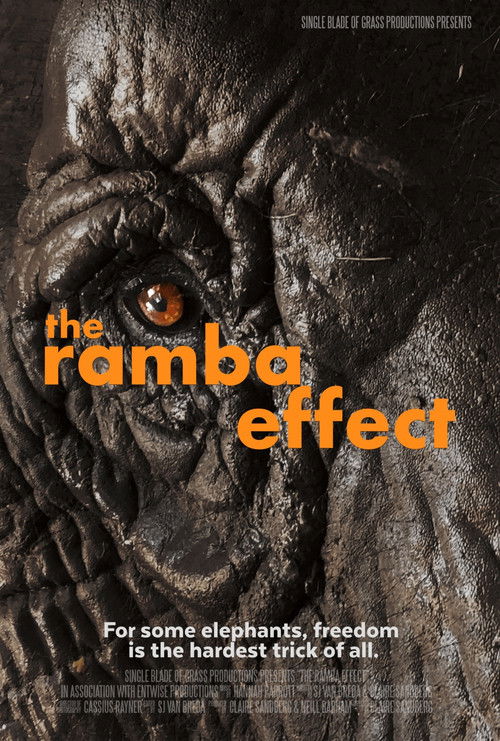 The Ramba Effect (2025) poster