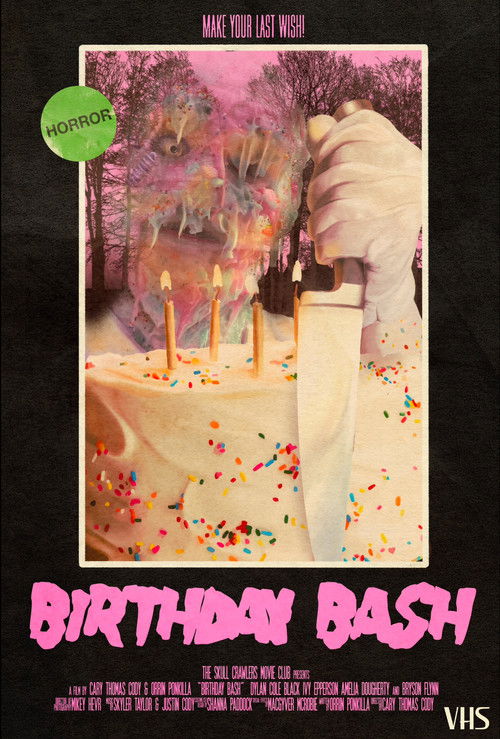 Birthday Bash (2024) poster
