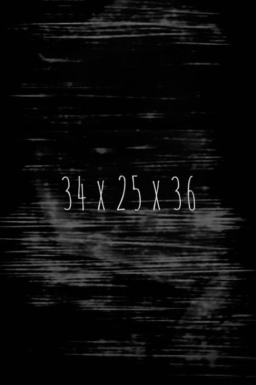 34x25x36 (2008) poster