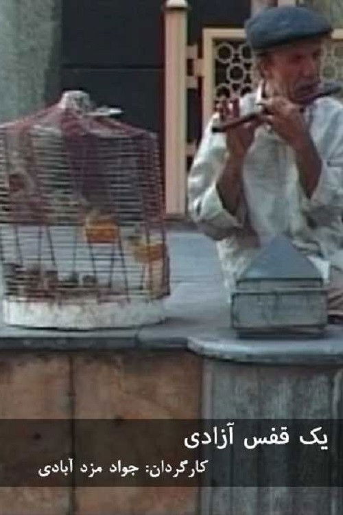 یک قفس آزادی poster