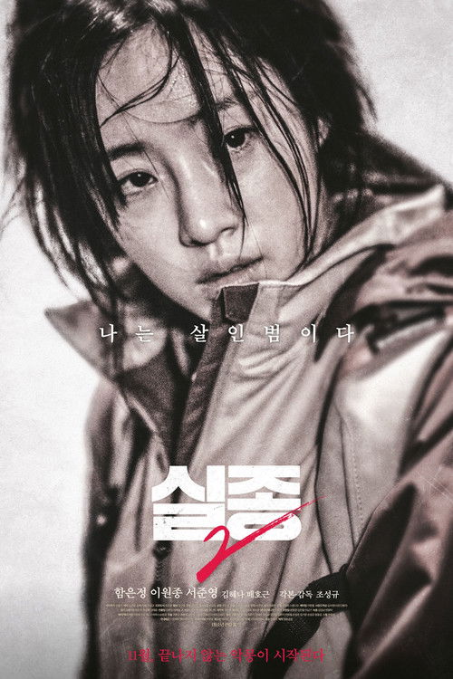 실종 2 (2017) poster