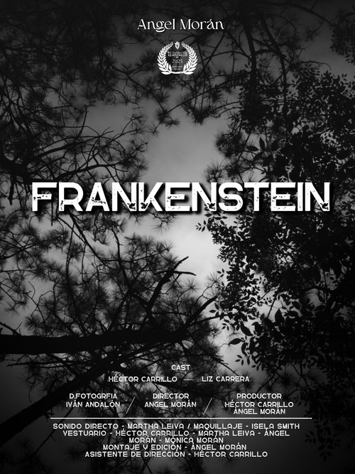 Frankenstein The Creature (2025) poster